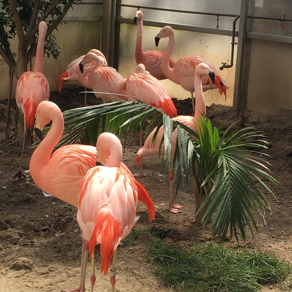 Meet your Posher, Jamie